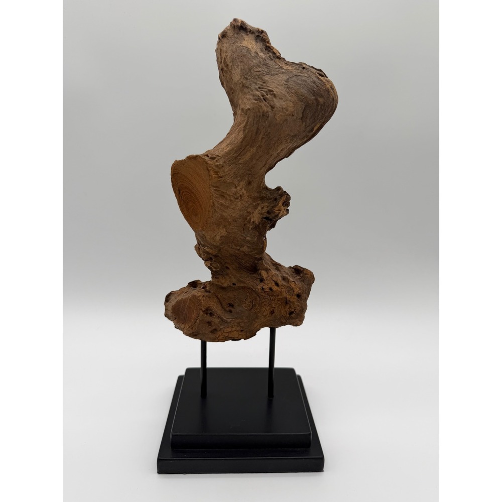 Natural Teak Wood Root Sculpture Abstract Art Black Stand Organic Decor 14.5in